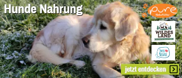 Hunde Nahrung