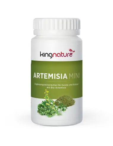 Artemisia Mini
