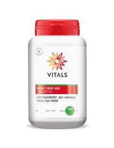 MSM Kapseln 120 Stück