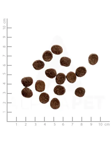 Huhn 1.2 kg mit Gemüse und Wildkräutern