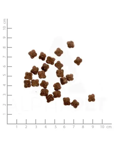 Huhn & Lachs 400g mit Gemüse und Wildkräutern