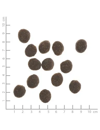 Kaninchen 12 kg mit Kartoffeln und Wildkräutern