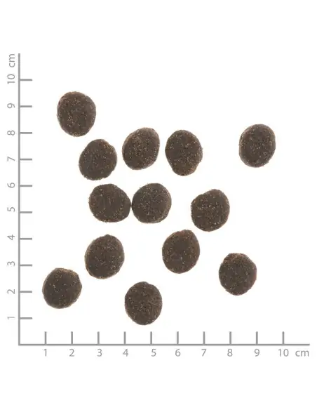 Kaninchen 12 kg mit Kartoffeln und Wildkräutern
