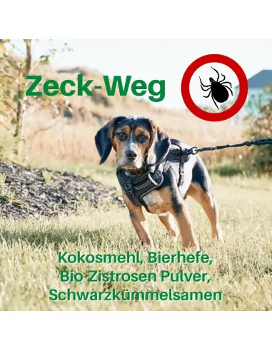 Zeck-Weg mit Zistrose, Kokosmehl und Schwarzkümmel