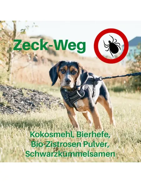 Zeck-Weg mit Zistrose, Kokosmehl und Schwarzkümmel