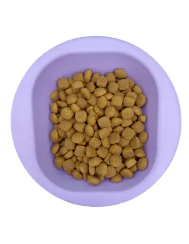 pflanzliches Trockenfutter mit Hanfprotein und Moringa 10 kg