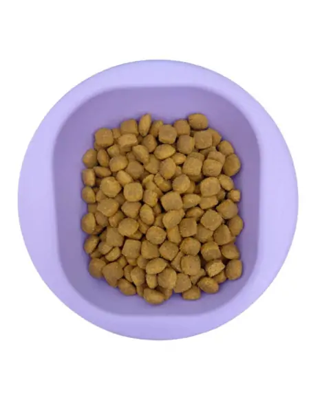 pflanzliches Trockenfutter mit Hanfprotein und Moringa 2 kg