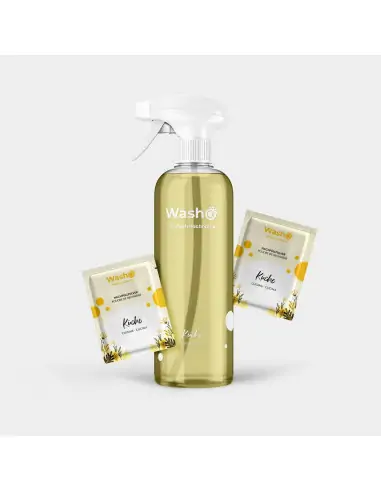Washo Oberflächenreiniger Putz-Set