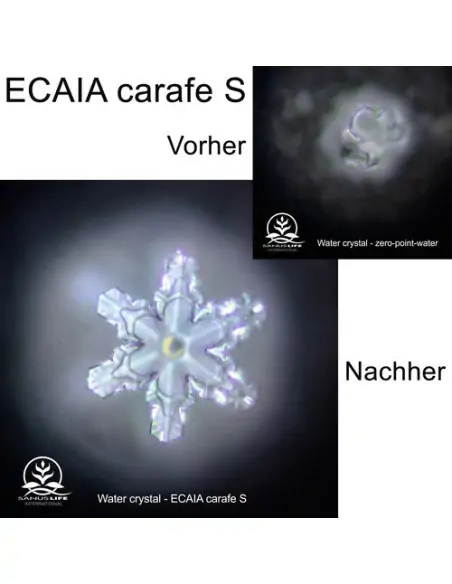 ECAIA carafe S bringt neue Maßstäbe im Bereich der mineralischen Wasserionisierer ECAIA carafe S bringt neue Maßstäbe im Bereich der mineralischen Wasserionisierer