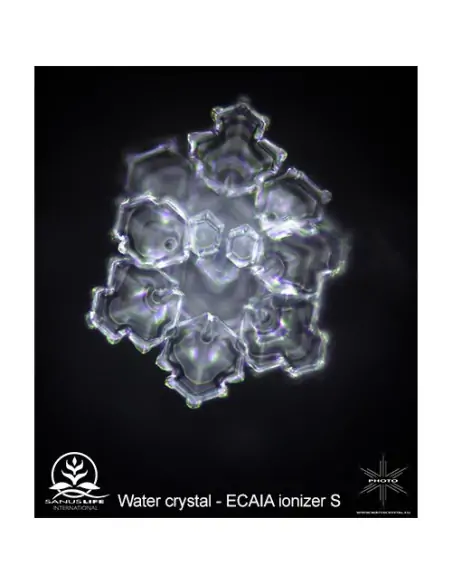 Der ECAIA ionizer S ist ein elektrischer Durchfluss-Wasserionisierer. Er kann oberhalb oder auch unterhalb der Arbeitsfläche pos Der ECAIA ionizer S ist ein elektrischer Durchfluss-Wasserionisierer. Er kann oberhalb oder auch unterhalb der Arbeitsfläche pos